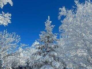 00000000tgzxAIpLraJzypBL