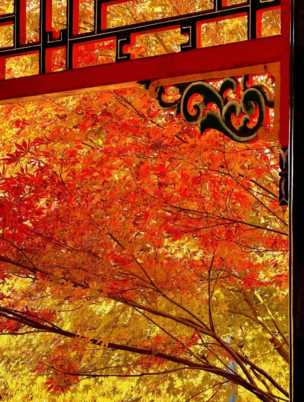 00000000tsVuNKhGDKcnEpHM 00000000tsVuNKhGDKcnEpHM