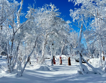 00000000tvACbMOWHwCbBnsO