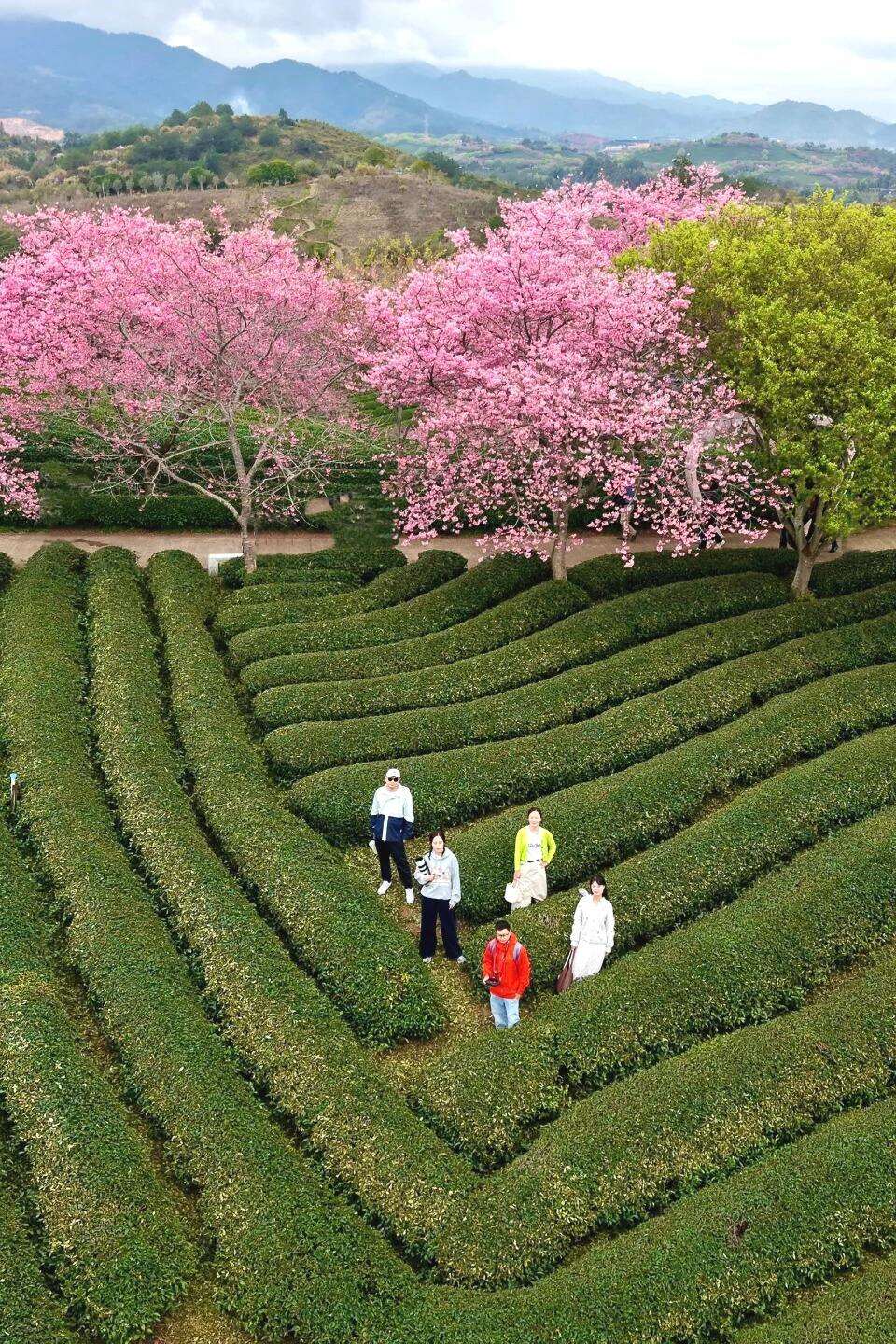 00000000uBUalMHTKudfTthW