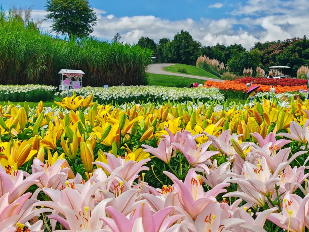 00000000uBlNWoUYeLZdyZiu