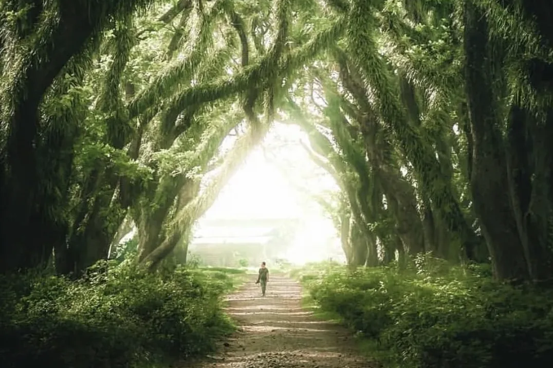 00000000uUcMkUnZsdtfnSMI