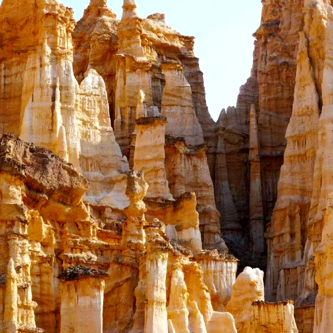 00000000urdVRqULGcQrwudX