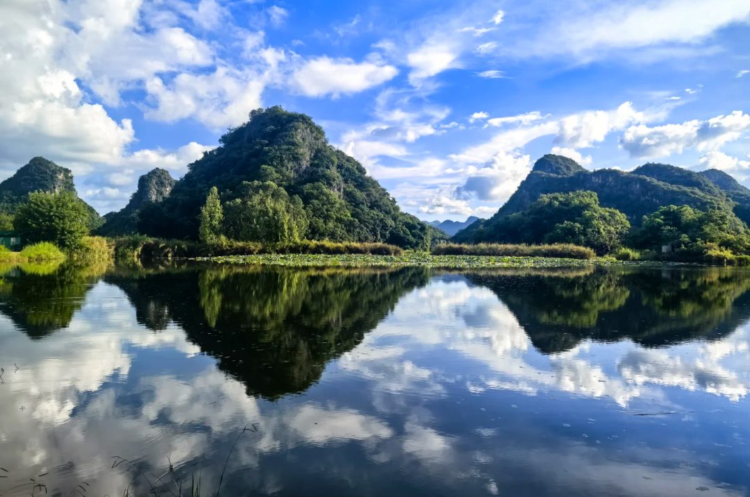 00000000vrcuxdgYYzPBojqN