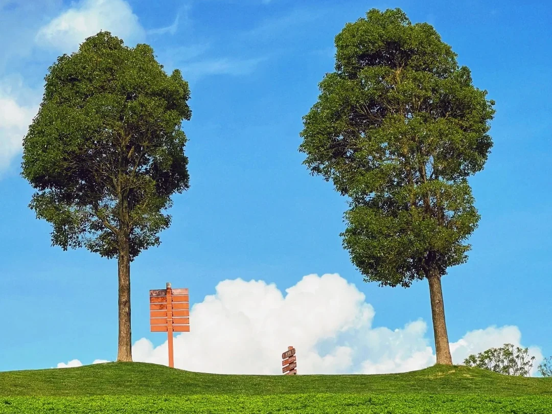 00000000vudziCySeHphAAqz