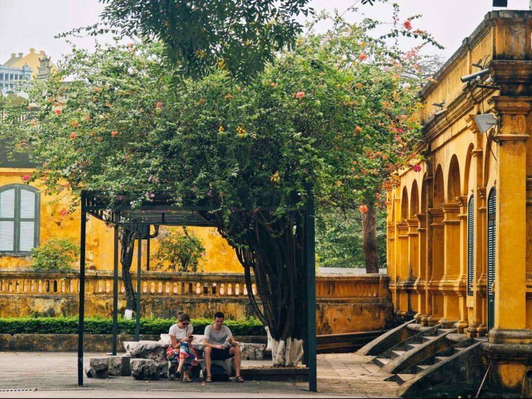 00000000vzAFdoVlumMnCgvq