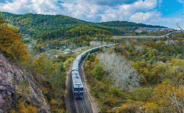 00000000wNfqjKYaDsXHimbo