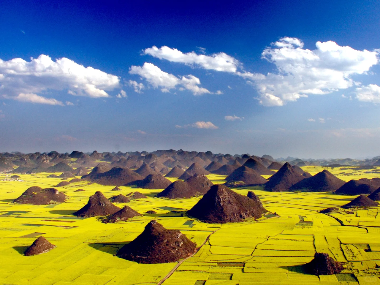 00000000wVZIgztPkQPdEImL