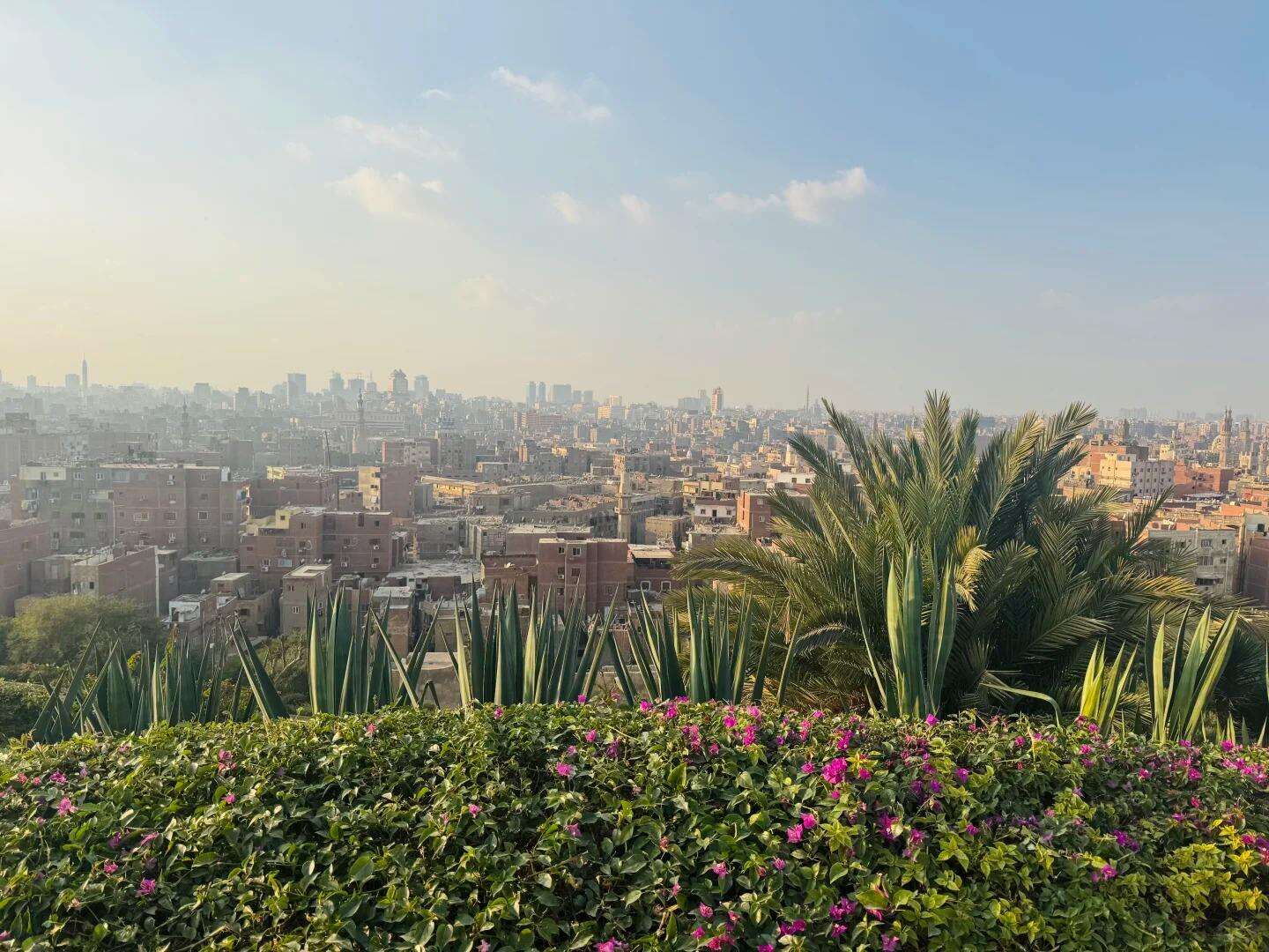 00000000wcvMszOcCLKRLVUF 00000000wcvMszOcCLKRLVUF