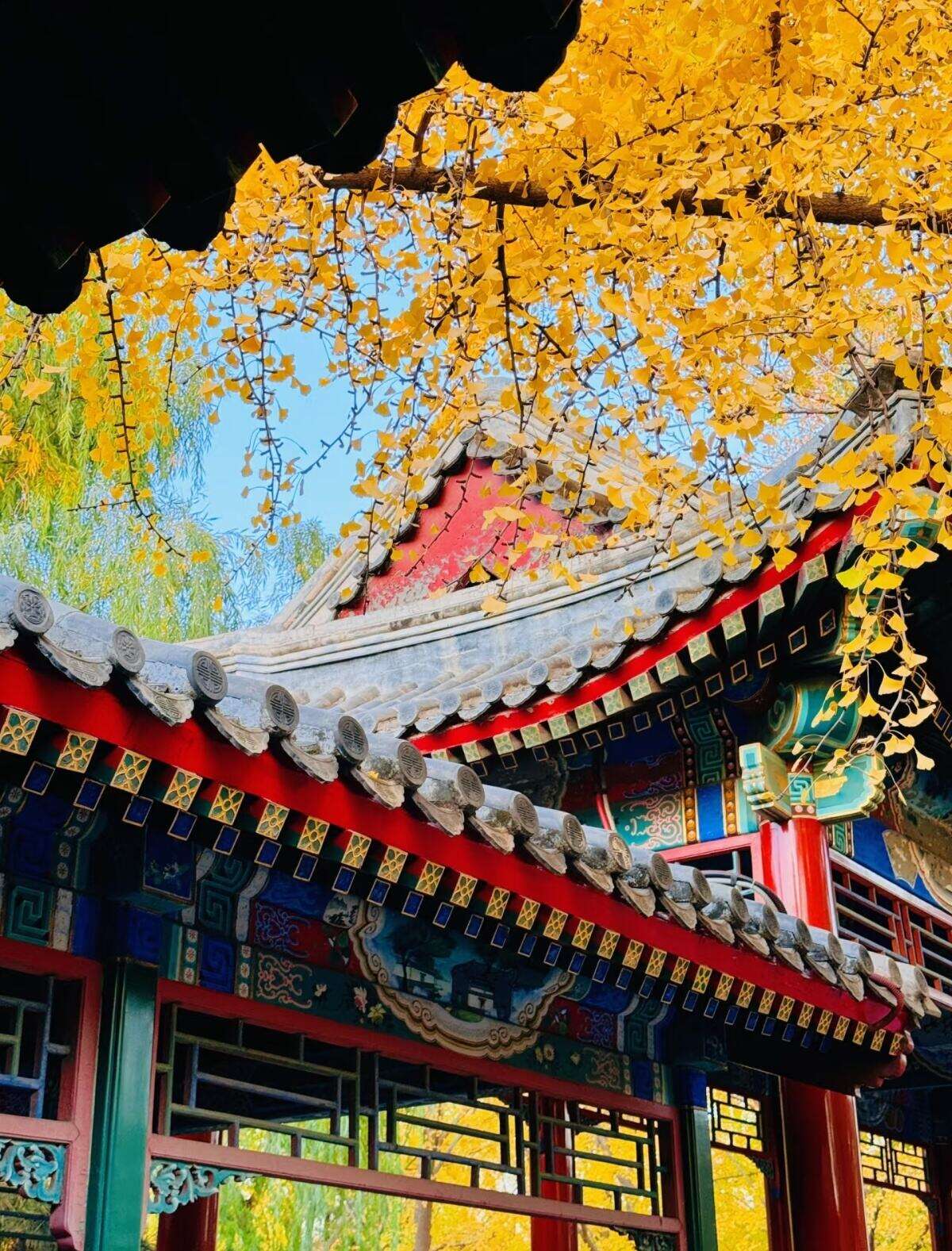 00000000woqnRCSnVttGfEwa 00000000woqnRCSnVttGfEwa