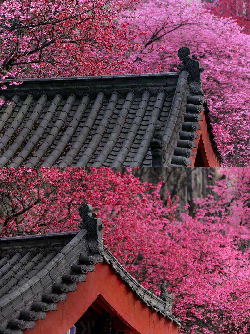 00000000wrGFKAHDvwlMOhqS