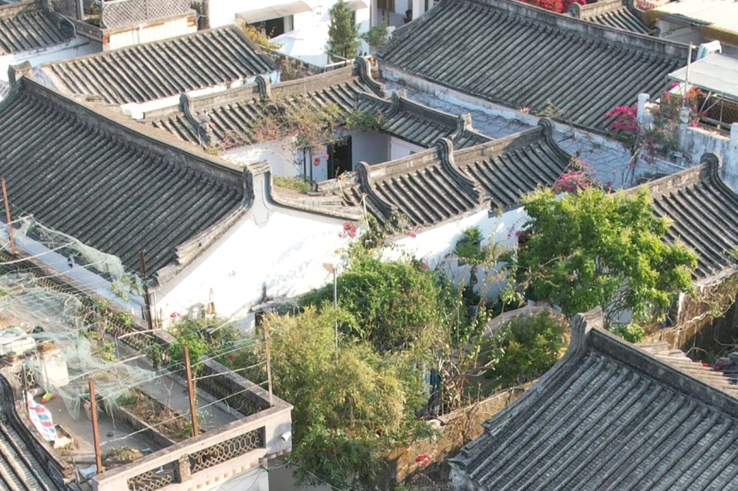 00000000xFkMOvajFcDCNlYS