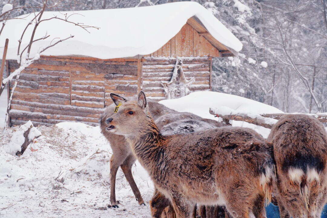 00000000xUSXPpwxOFQTBbLR