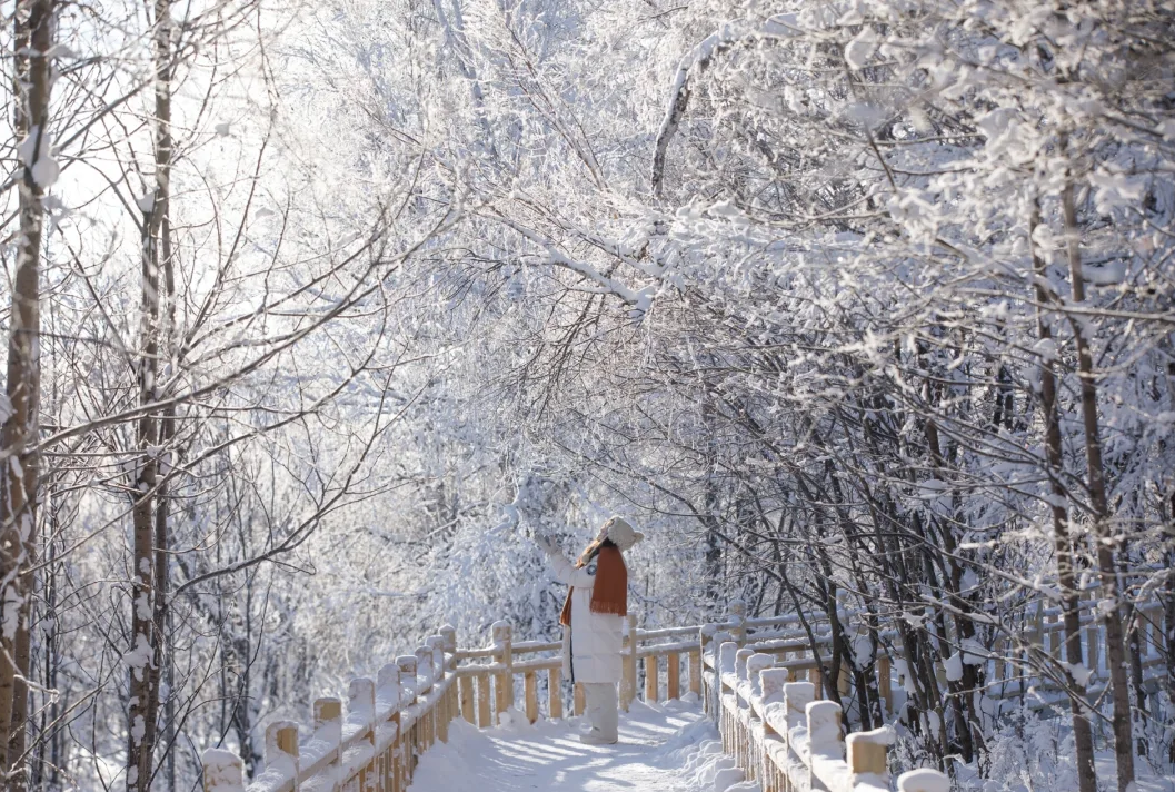 00000000xcVjBjAoOUUBCbgw 00000000xcVjBjAoOUUBCbgw