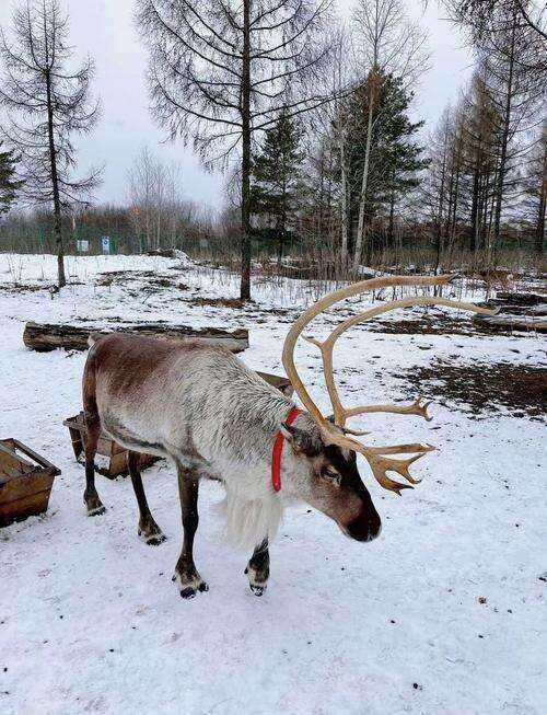 00000000xsGSNwQEmuJjXPZm 00000000xsGSNwQEmuJjXPZm