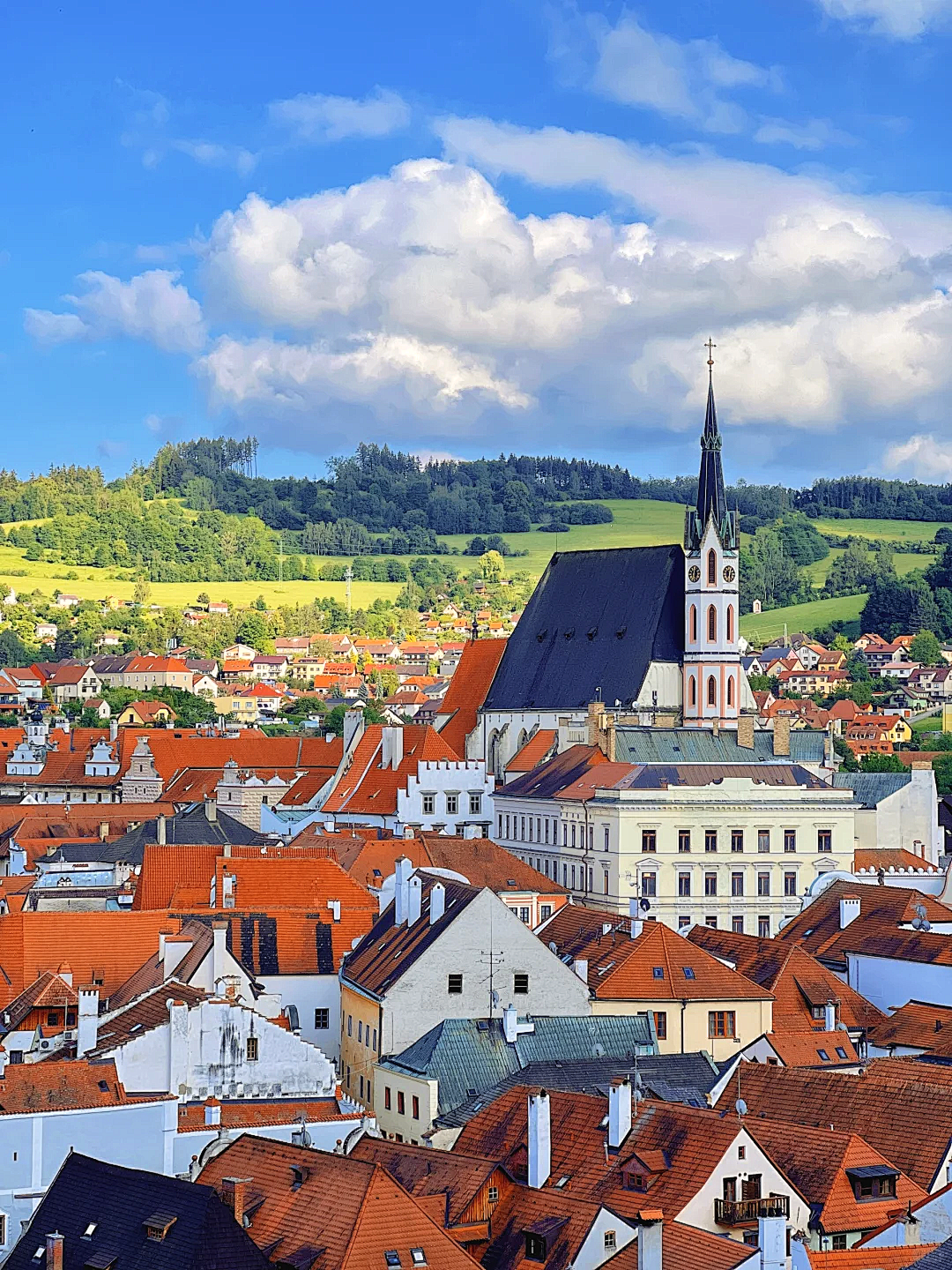 00000000yTzlNoVtFOIvkVPn