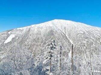 00000000zHaFJNAQtjMcVzxv