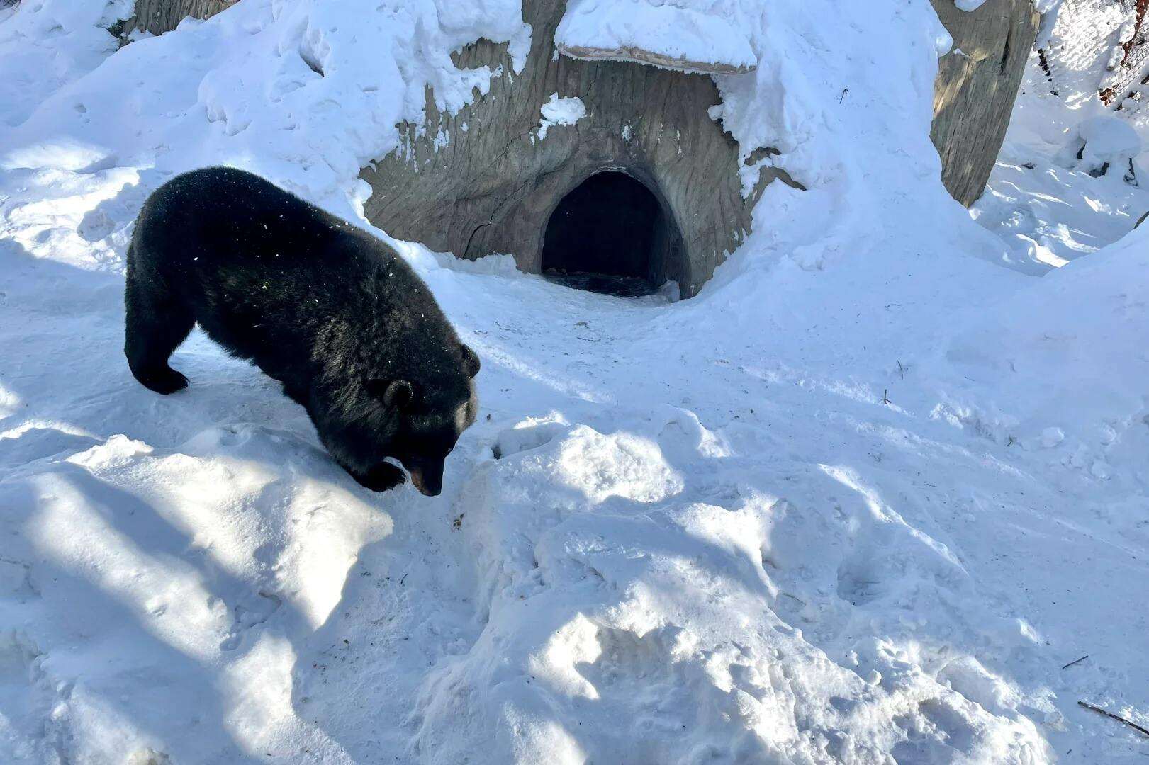 00000000zalpxOQcPynkeKNY 00000000zalpxOQcPynkeKNY