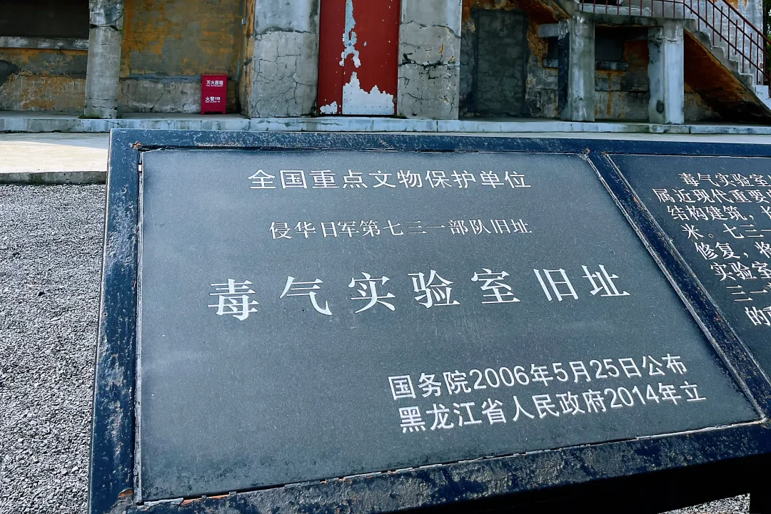 00000000zpTzUZIeBdTvoILt