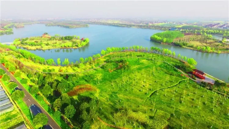 003df4c8d3caa086a4a07e51a7c6e21f-sz_135568