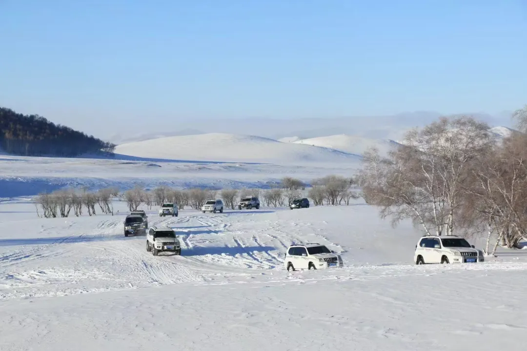 003ef71d547dfe3d70ae3e331eb7ca38-sz_726513