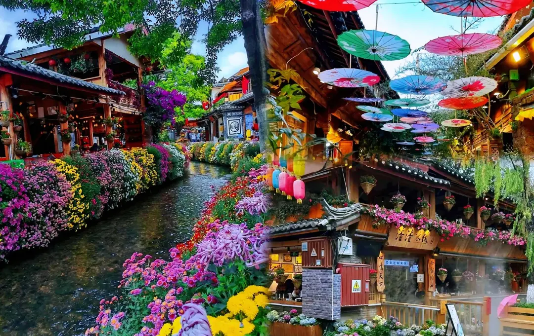 0046abd7328ce8df54619c59b0129854-sz_1083269-1