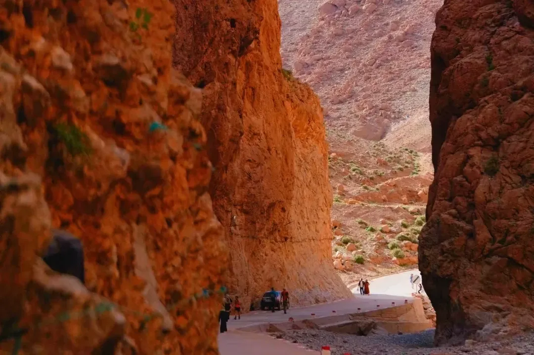 004f5e862d04eefcaf503f8ccf0a7aa3-sz_3610166