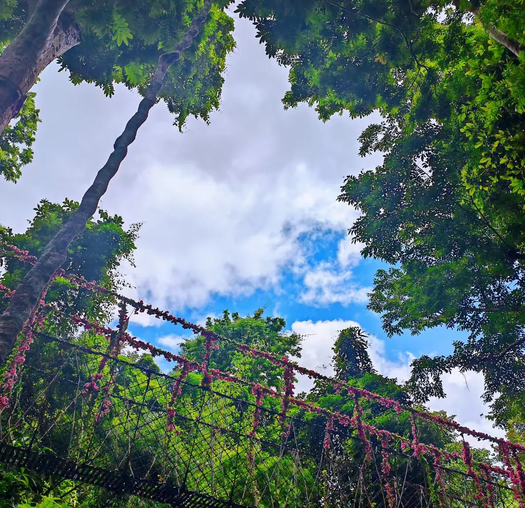 008cefb9ae3f778910e04cb5e3bdc2f3-sz_3428798