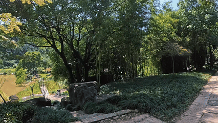 00bbd851d96a3a7721550b846863d44a-sz_12349298