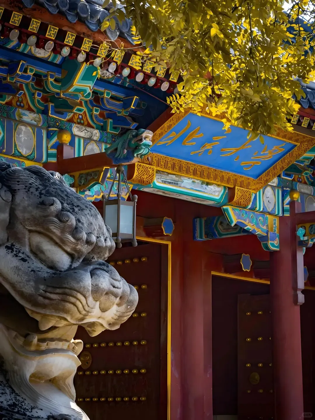 00bbfe72cbab17491cd31a15eb72969e-sz_448616