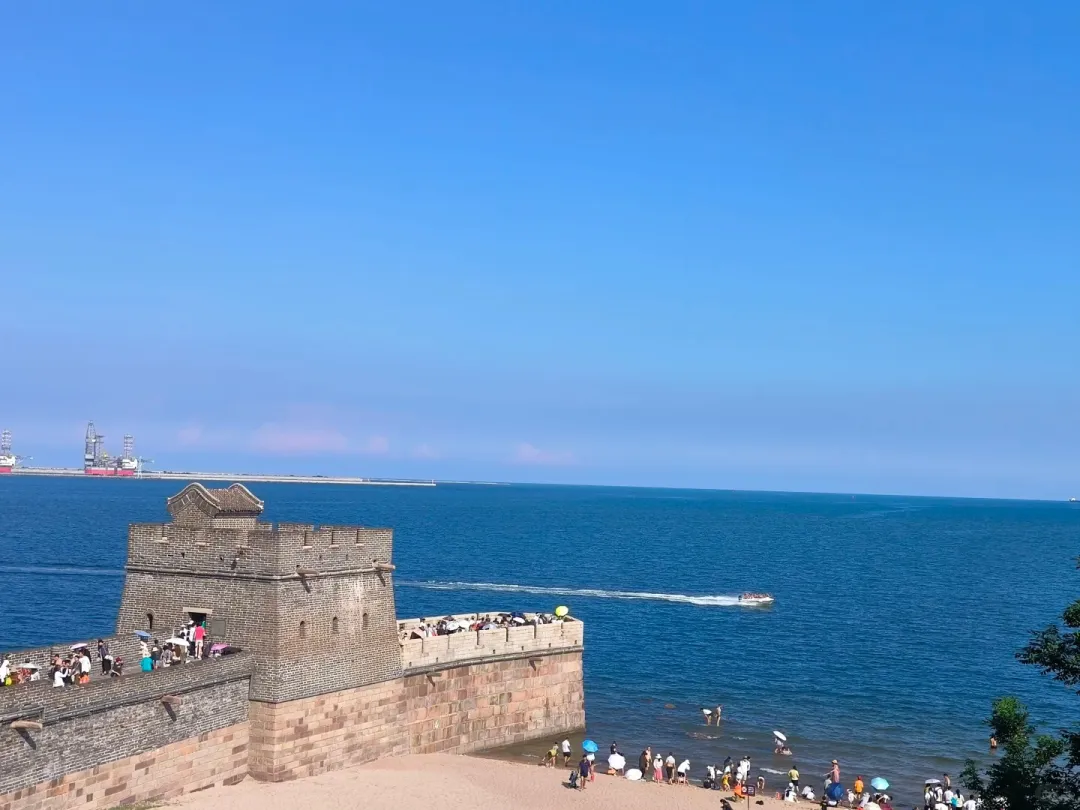 00bd29d6c8c3e1a816bb7ad9e73558be-sz_309139