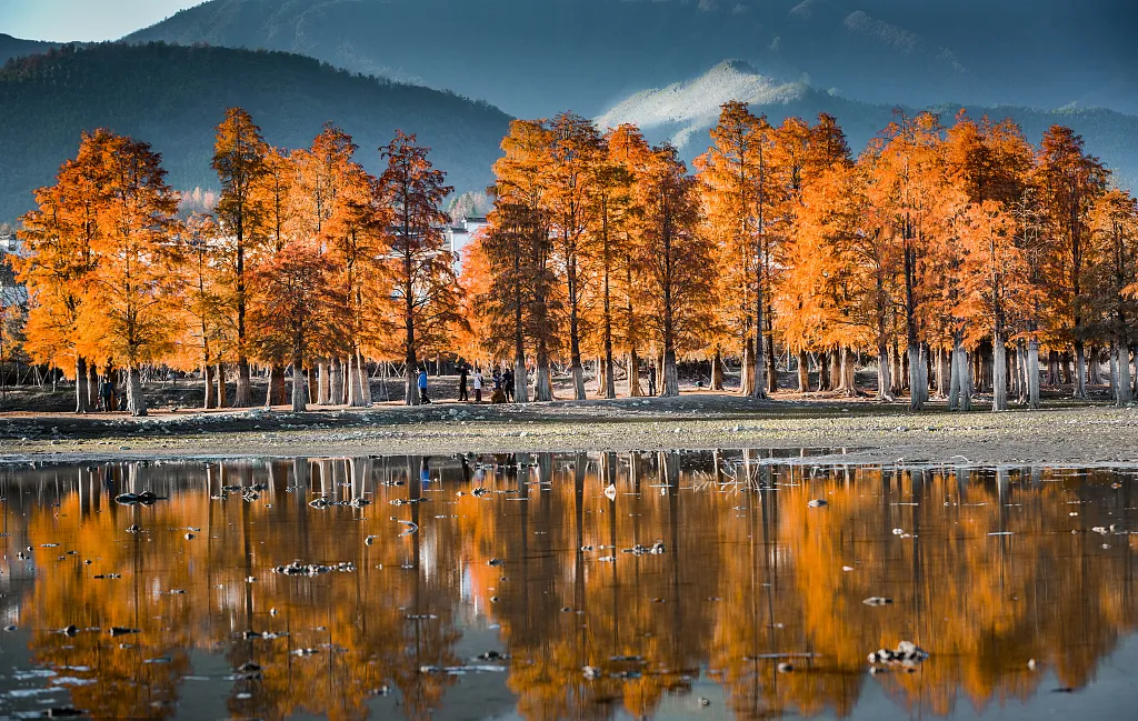 00daed2a2000f8cba73276e164576772-sz_1161150 00daed2a2000f8cba73276e164576772-sz_1161150