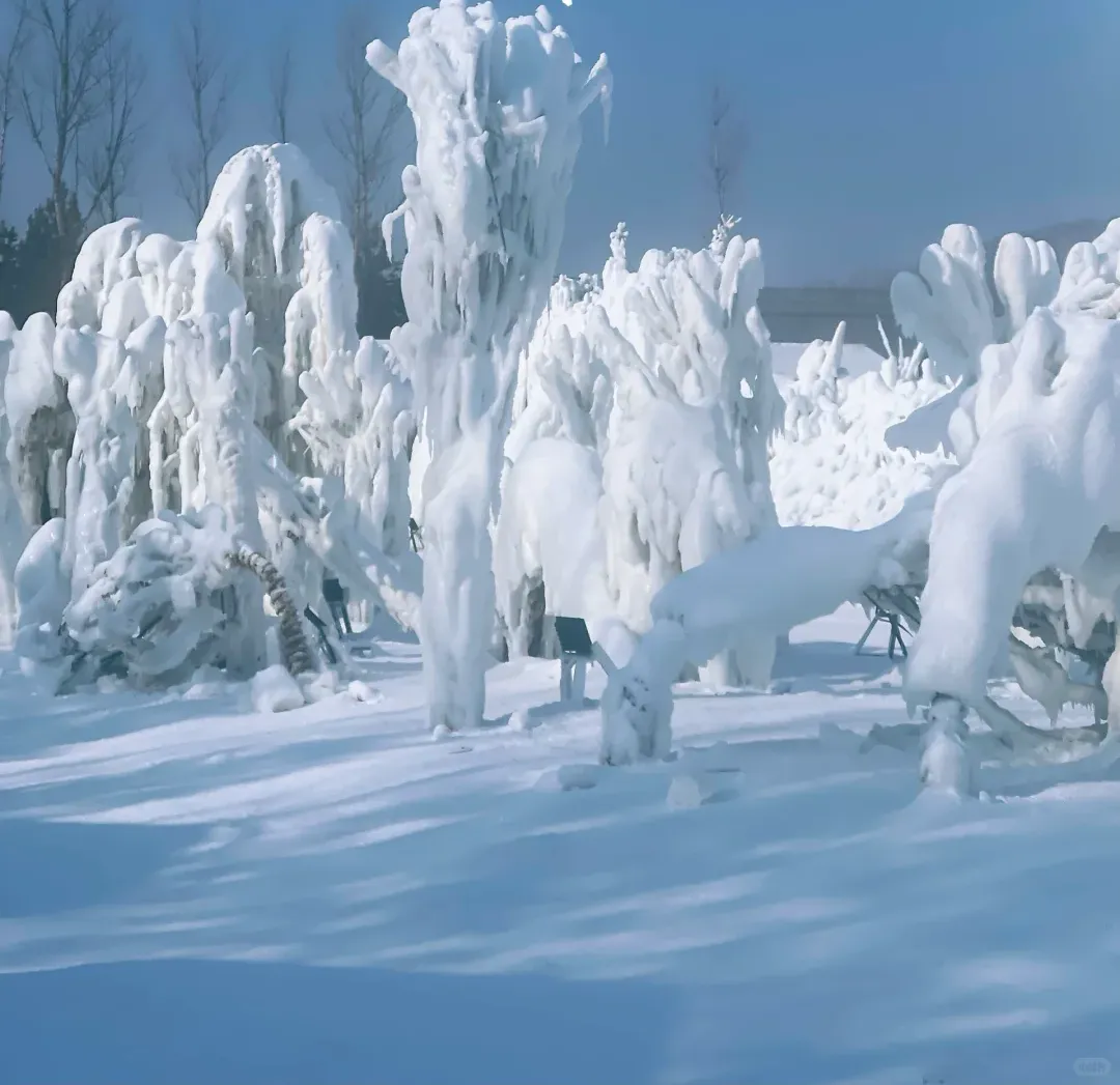 00e40b51c161daa301cec16fb5537656-sz_1197444