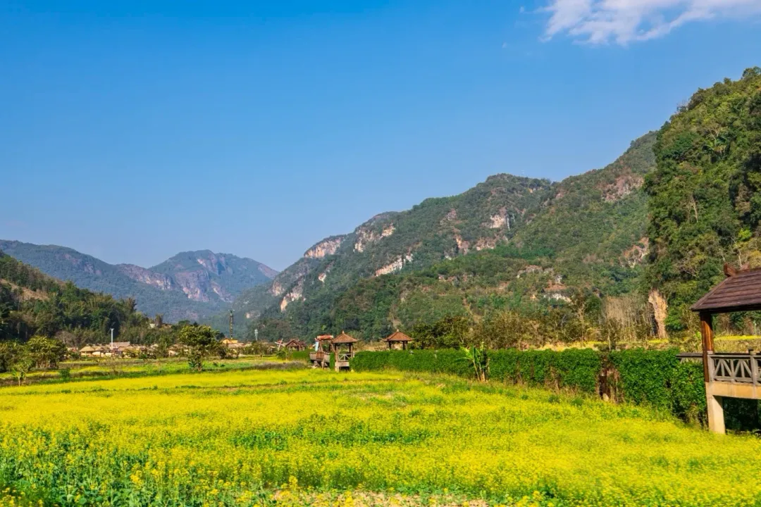 0154528149eef0853807930d21e80b06-sz_1531409