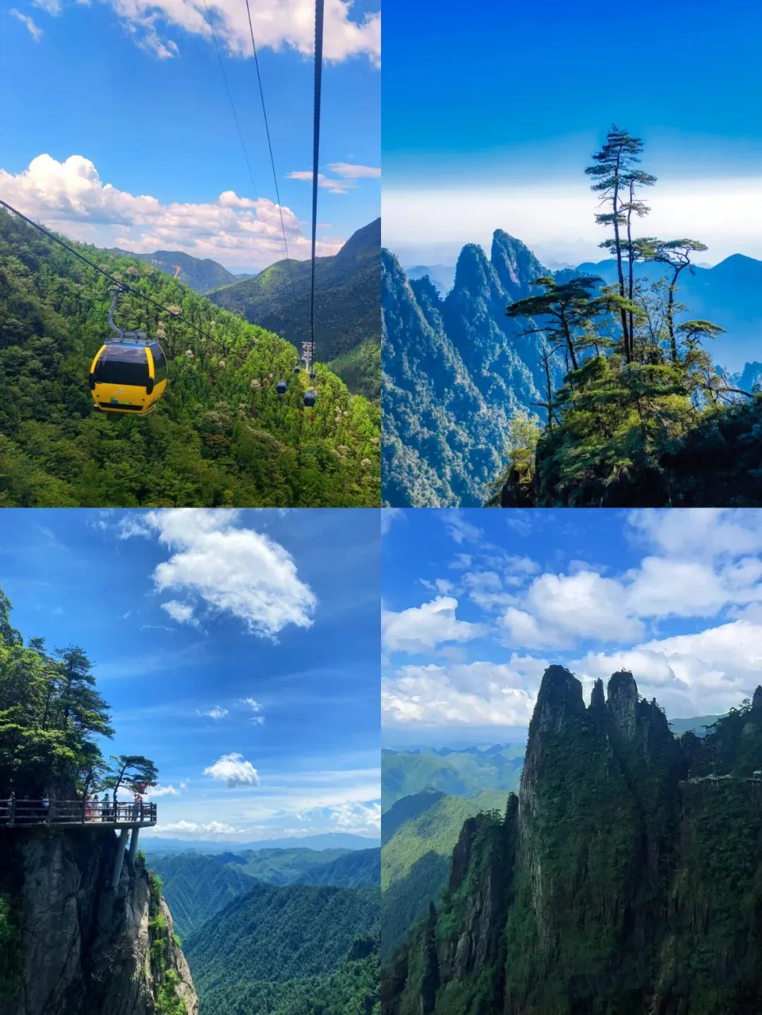 015a50dbe0230c61bcafd05062dfc839-sz_1390236