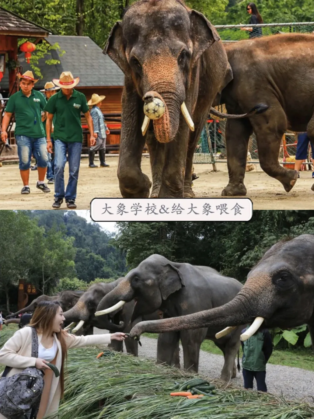 016949cc871a7f878684113c603d9b09-sz_1797198 016949cc871a7f878684113c603d9b09-sz_1797198