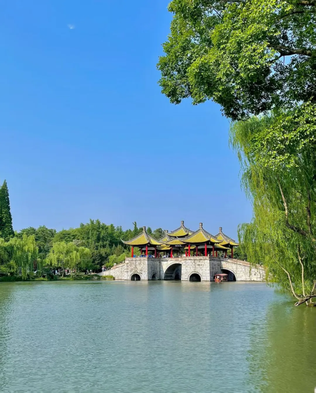 017495eccacc713b4d83bef8587d4ec1-sz_338388