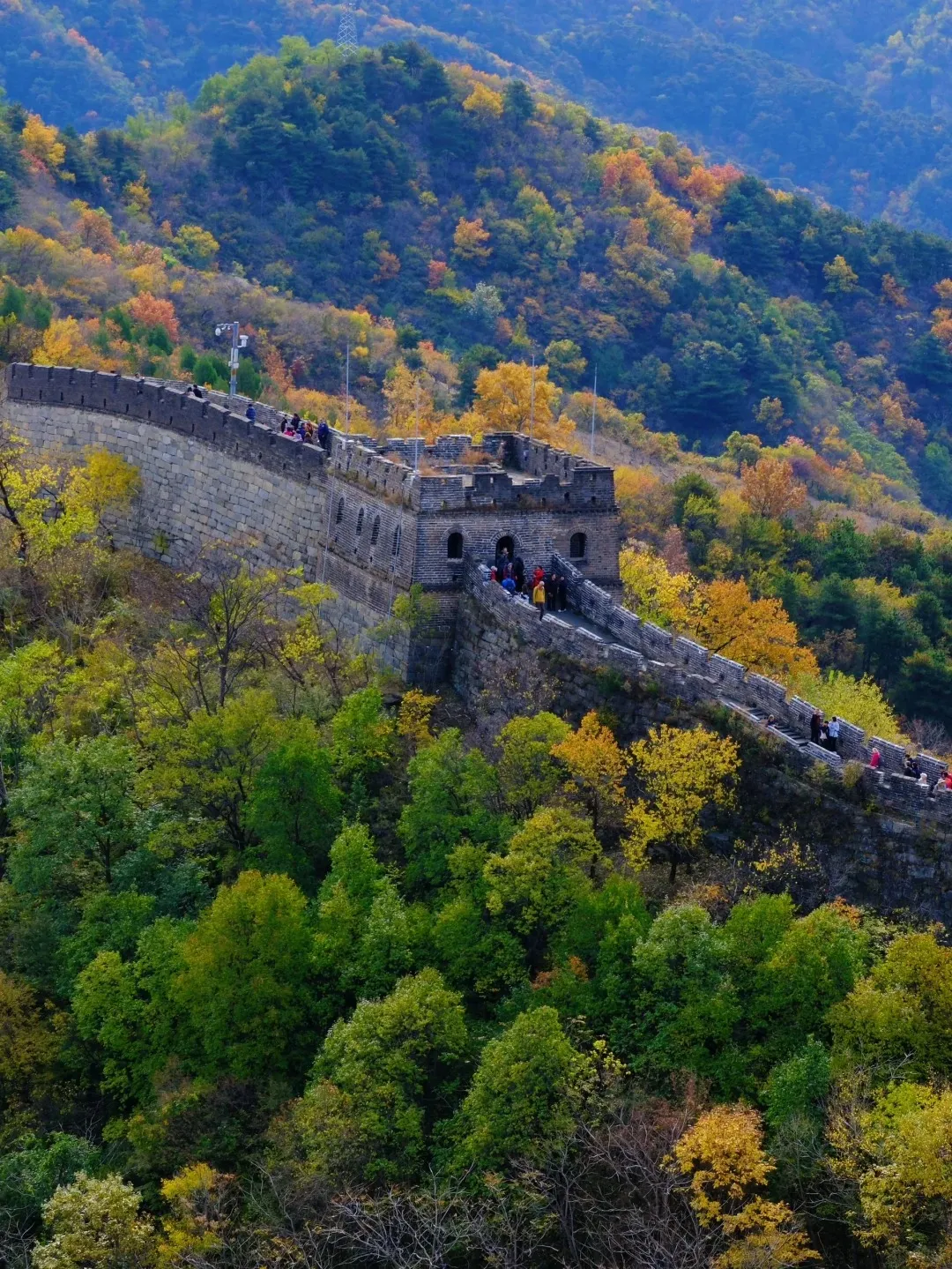 01b0c906ec9ee2a30dd6daf1ac175c4d-sz_656547