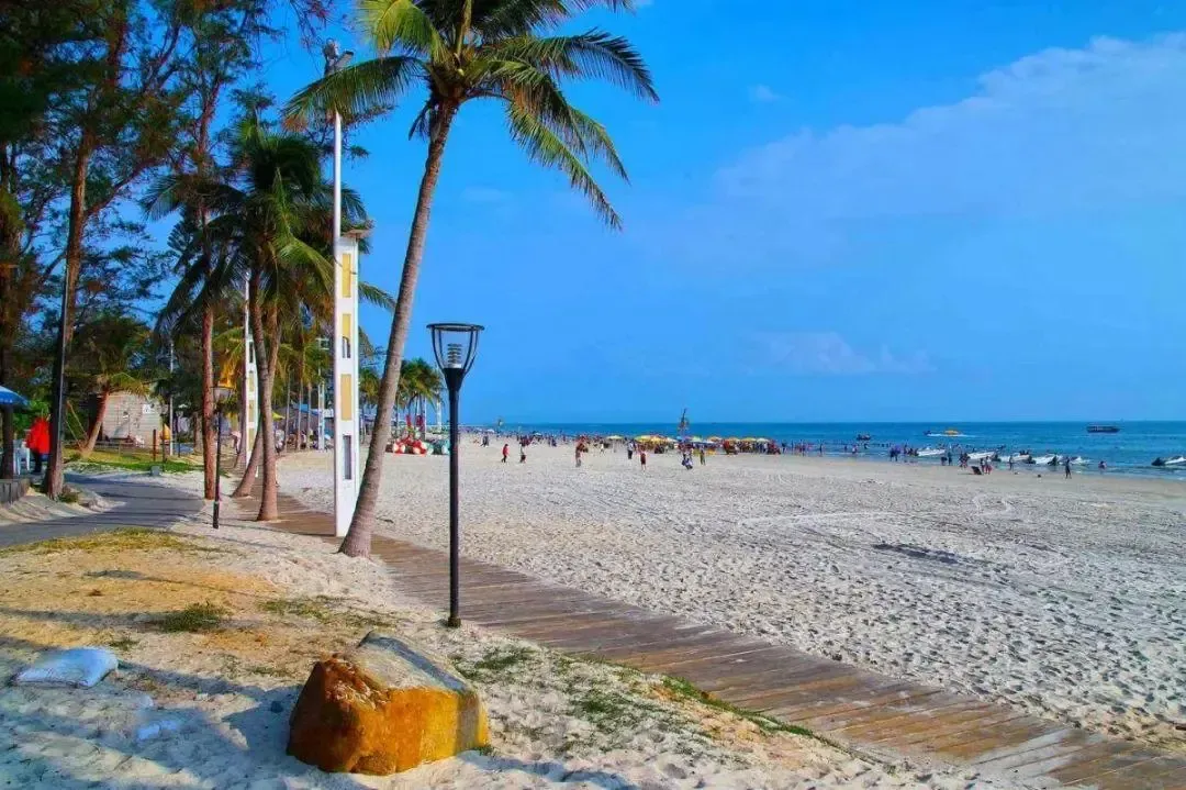 01cf2566a2bf67b540c5f4dccff1f20b-sz_1593180-2