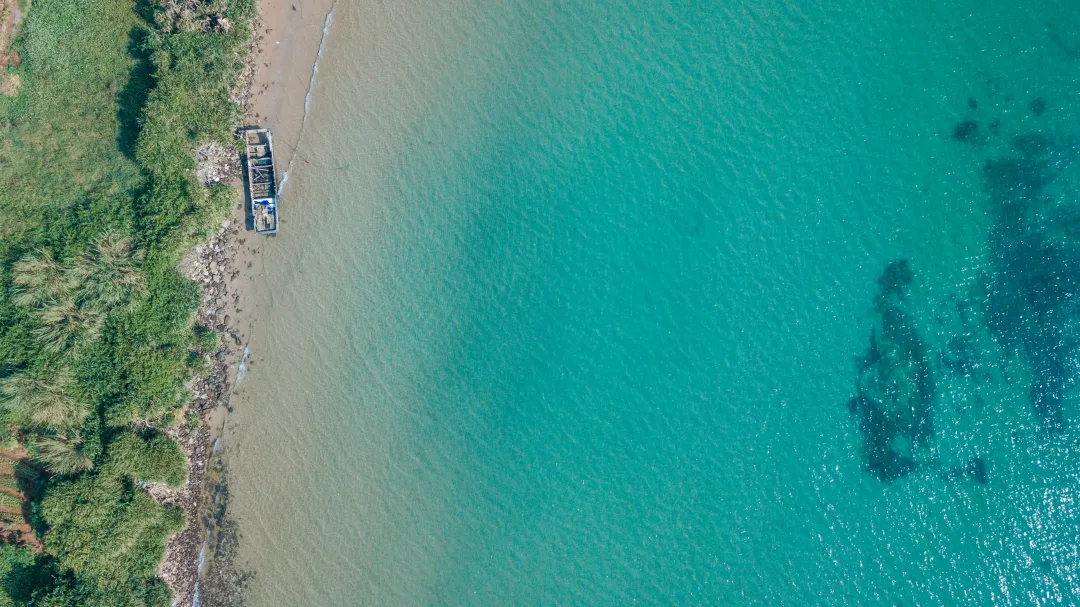 01dcb78f54222d1dcd45e598f947fbe5-sz_10986207 01dcb78f54222d1dcd45e598f947fbe5-sz_10986207