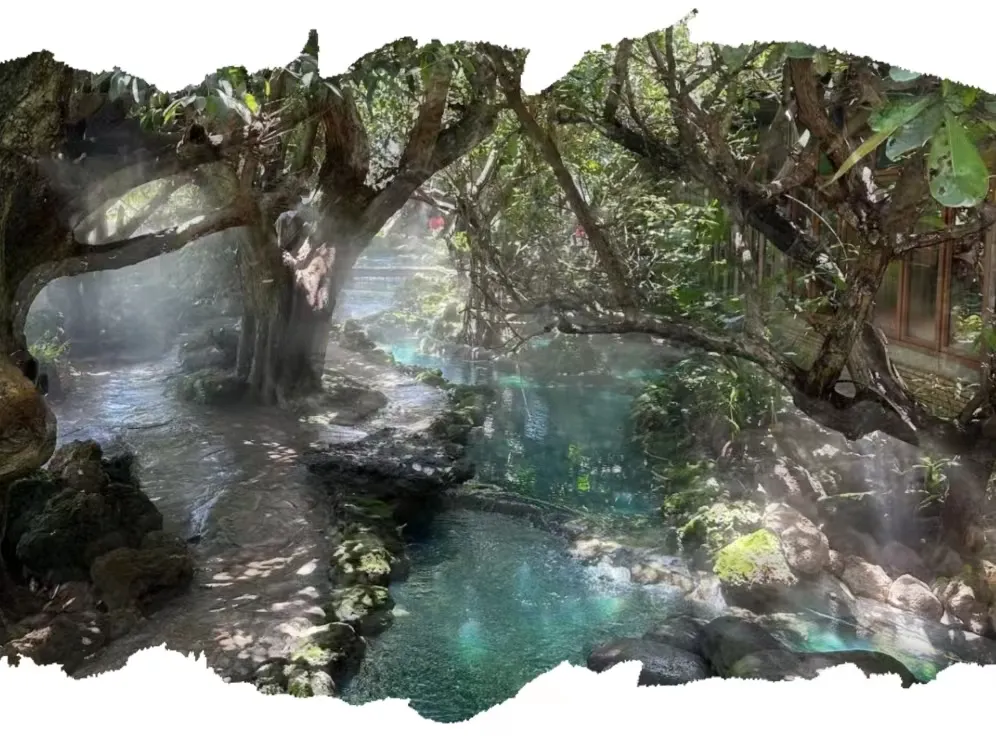 01e10e6a2e732634172ebc063705f1fc-sz_496342 01e10e6a2e732634172ebc063705f1fc-sz_496342