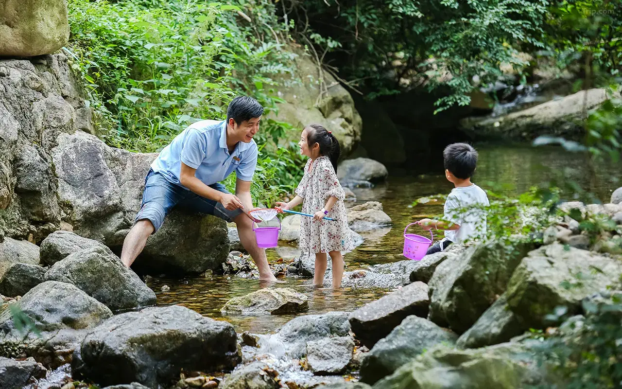 0204j1200084yzt50EBAE_W_1280_853_R5 0204j1200084yzt50EBAE_W_1280_853_R5