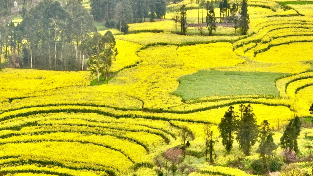 02338341ec0f55231603fdea03a684ce-sz_5980604