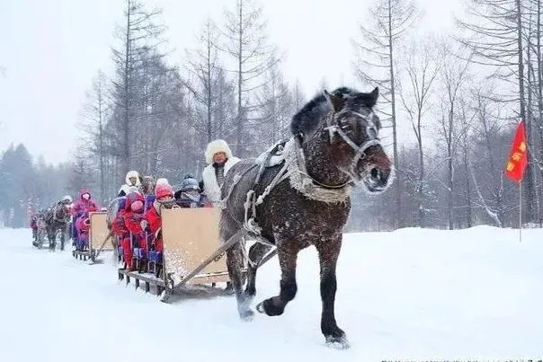 023d023c2662008ca40cb9a95ebfea23-sz_182312 023d023c2662008ca40cb9a95ebfea23-sz_182312