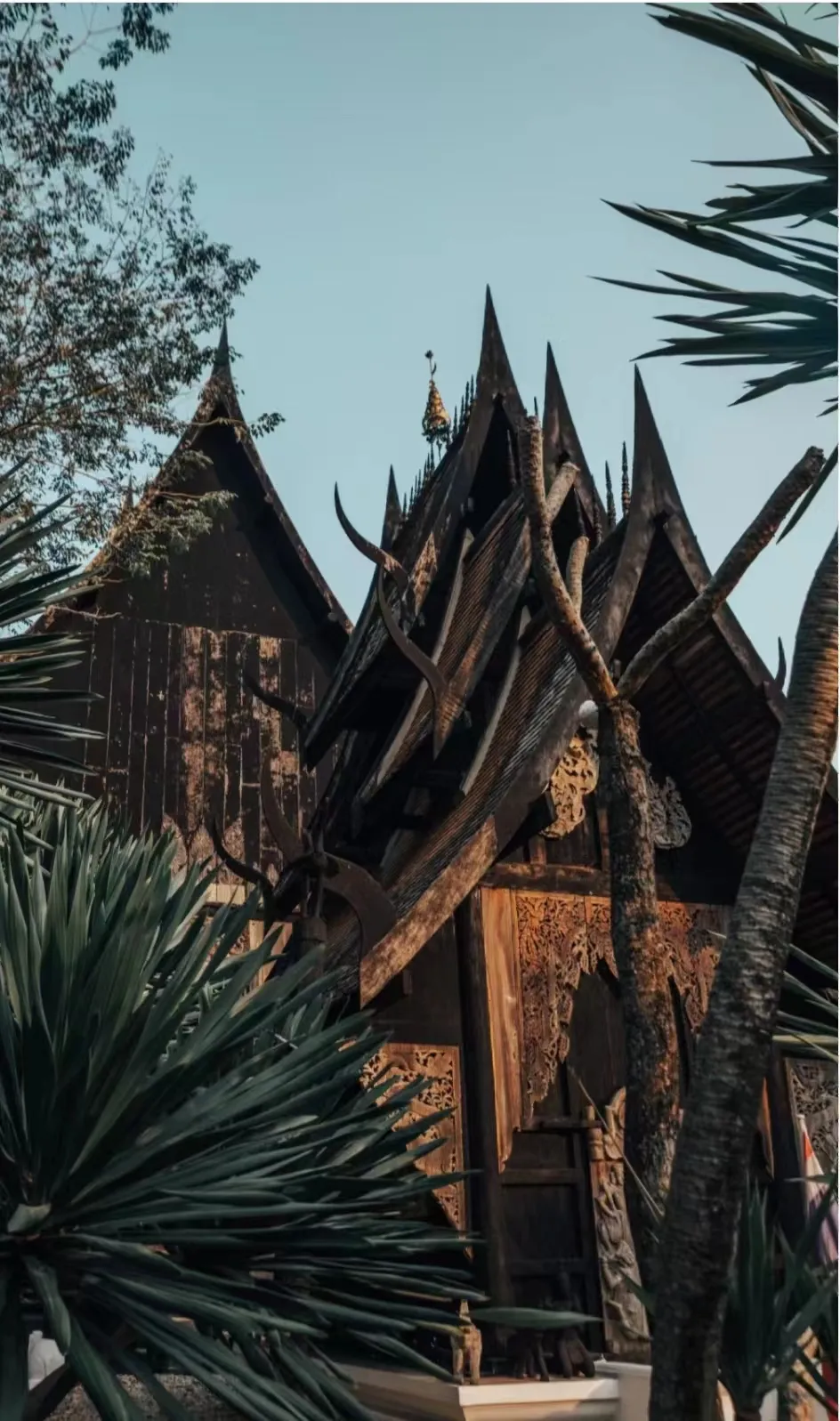 0252f778c2f59f3d96cc9c8335e97e4a-sz_820971 0252f778c2f59f3d96cc9c8335e97e4a-sz_820971