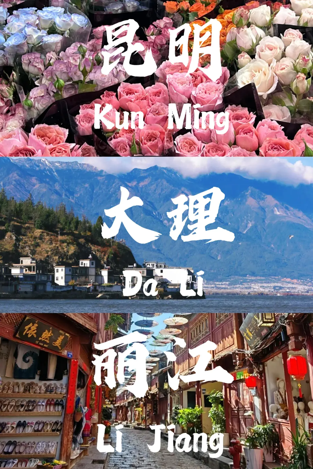 0282779e539fba96a92294b7026cd761-sz_1234686-1