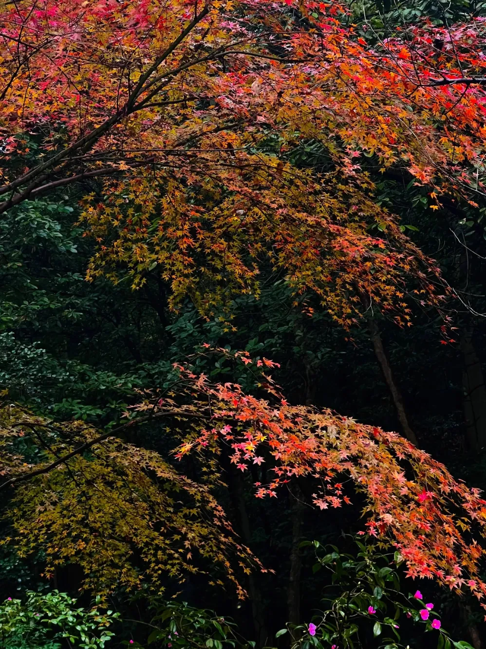 02b2baeb51e1d25aa65e44ff013d4285-sz_2518194 02b2baeb51e1d25aa65e44ff013d4285-sz_2518194