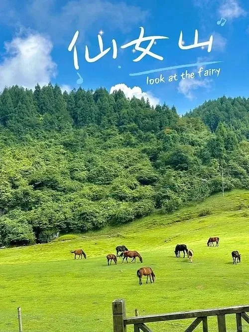 02dcf33ec1043ed45965acf9ab4b939e-sz_140330 02dcf33ec1043ed45965acf9ab4b939e-sz_140330