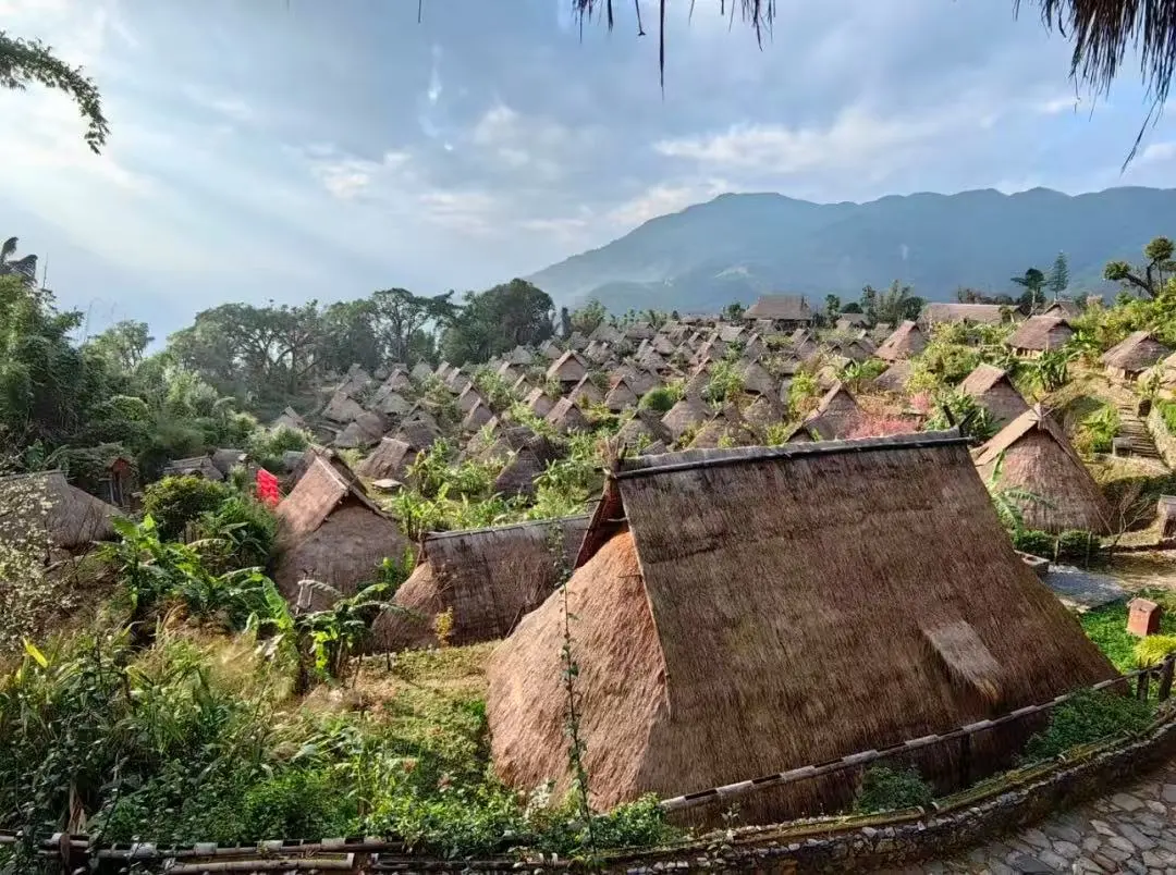 02dd5615941c666a9ce6895d0283f216-sz_185624