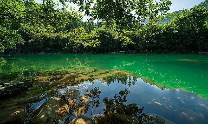 02edd7a015f5c0822394afe1023e326c-sz_580716